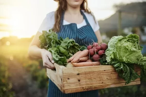 7 types of vegetable garden that people love with beautiful body, low calories, no matter how much you eat, you won't get fat.